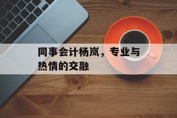 同事会计杨岚，专业与热情的交融