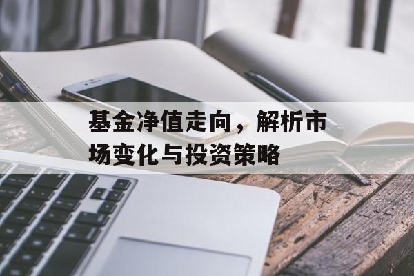 基金净值走向，解析市场变化与投资策略