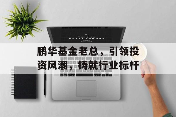 鹏华基金老总，引领投资风潮，铸就行业标杆