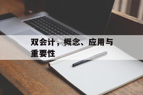 双会计，概念、应用与重要性