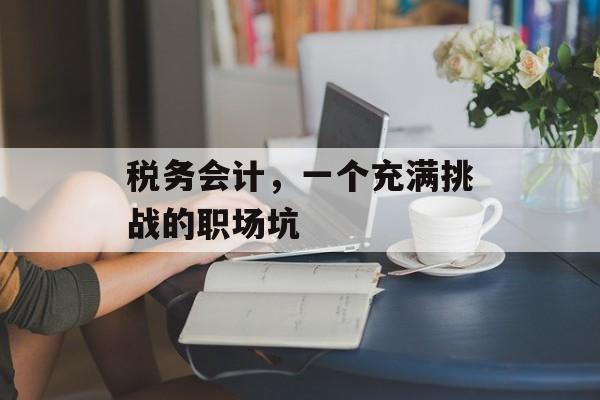 税务会计，一个充满挑战的职场坑