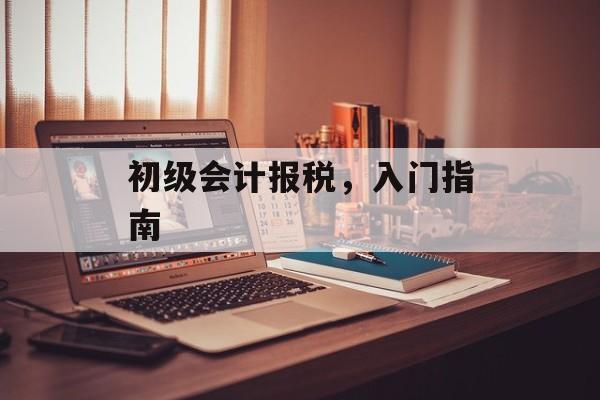 初级会计报税，入门指南