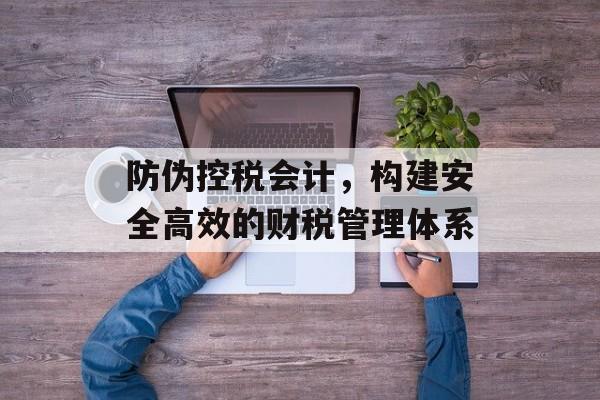 防伪控税会计，构建安全高效的财税管理体系