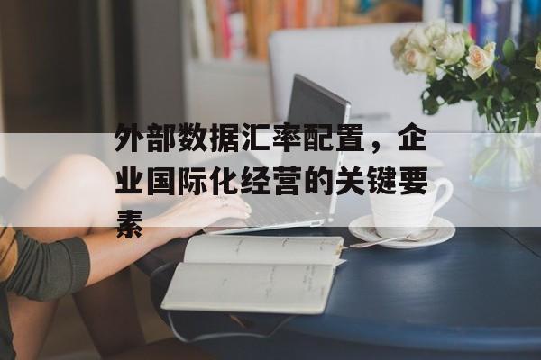 外部数据汇率配置，企业国际化经营的关键要素