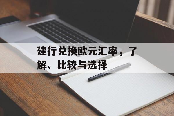 建行兑换欧元汇率，了解、比较与选择