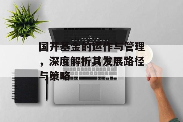 国开基金的运作与管理，深度解析其发展路径与策略