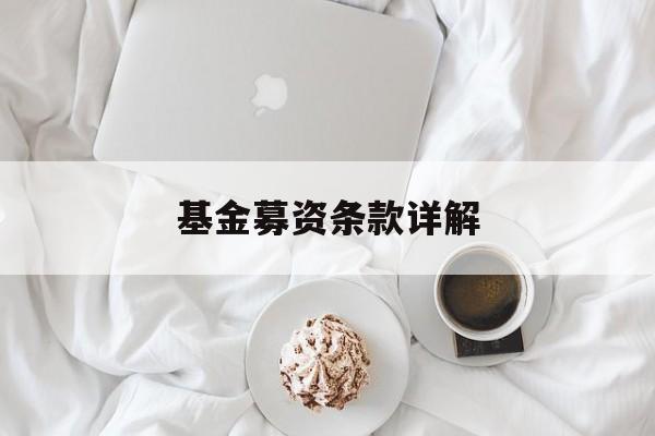 基金募资条款详解