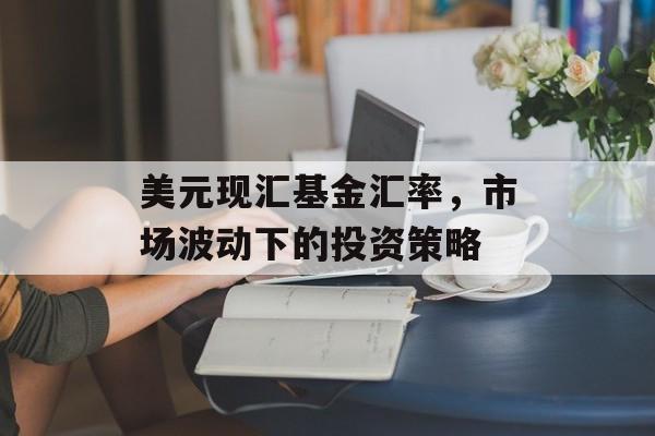 美元现汇基金汇率，市场波动下的投资策略