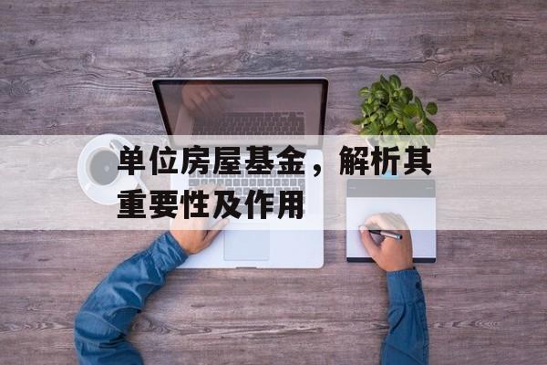 单位房屋基金，解析其重要性及作用