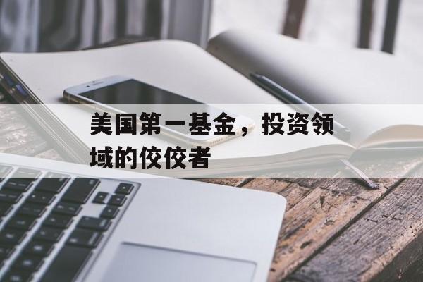 美国第一基金，投资领域的佼佼者