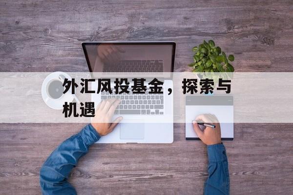 外汇风投基金，探索与机遇