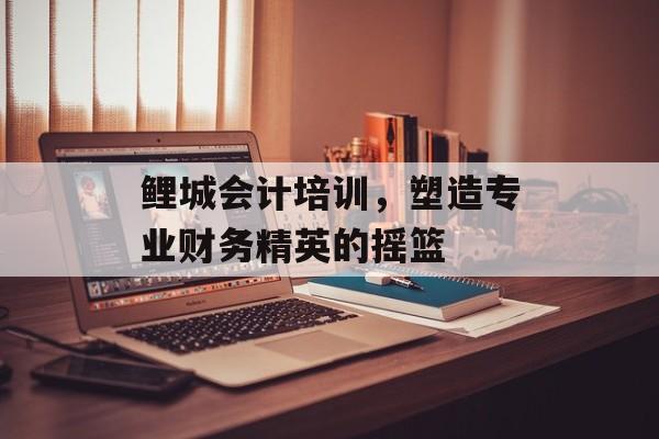 鲤城会计培训，塑造专业财务精英的摇篮