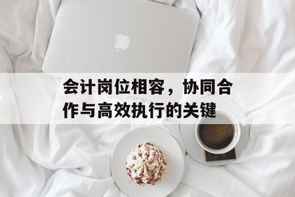 会计岗位相容，协同合作与高效执行的关键