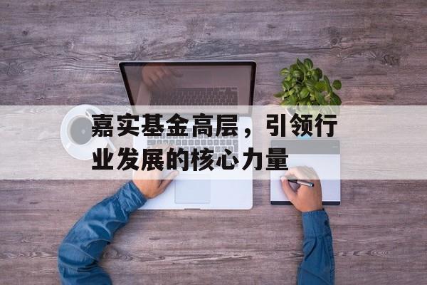 嘉实基金高层，引领行业发展的核心力量
