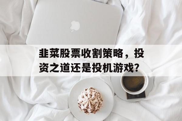 韭菜股票收割策略，投资之道还是投机游戏？