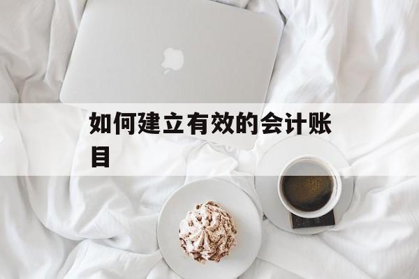 如何建立有效的会计账目