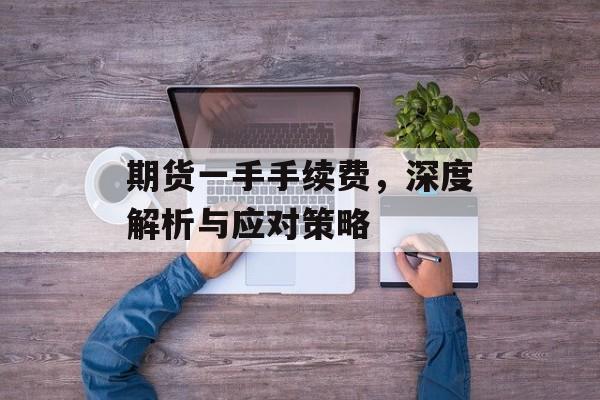 期货一手手续费，深度解析与应对策略