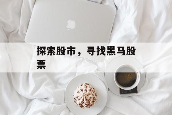 探索股市，寻找黑马股票