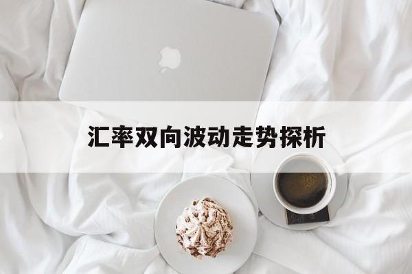 汇率双向波动走势探析
