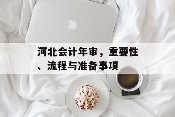 河北会计年审，重要性、流程与准备事项