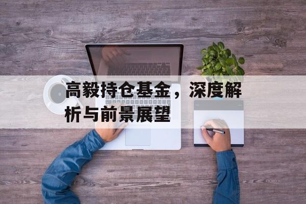 高毅持仓基金，深度解析与前景展望