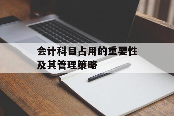 会计科目占用的重要性及其管理策略