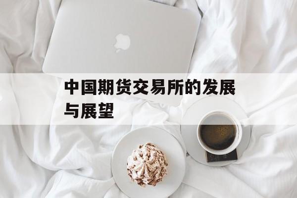 中国期货交易所的发展与展望