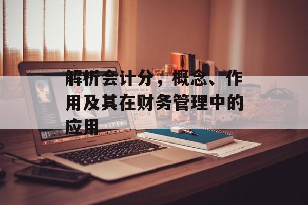 解析会计分，概念、作用及其在财务管理中的应用