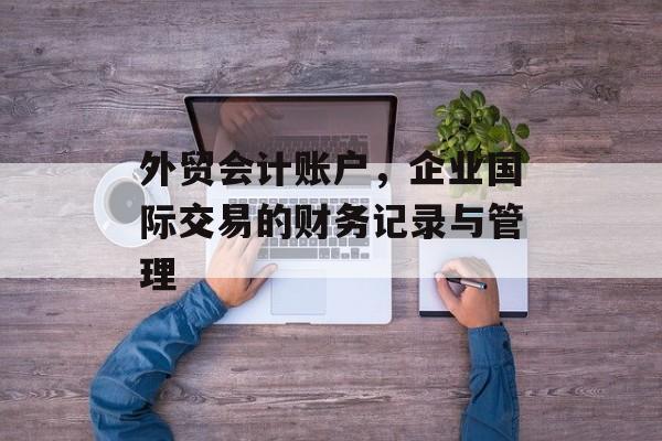 外贸会计账户，企业国际交易的财务记录与管理