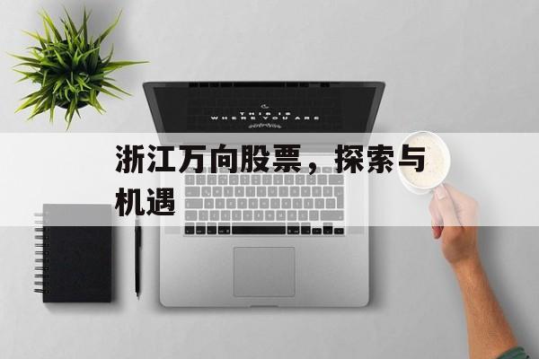 浙江万向股票，探索与机遇