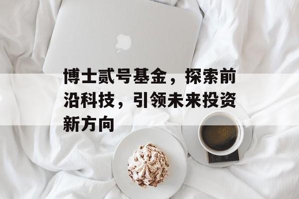 博士贰号基金,探索前沿科技,引领未来投资新方向 博士贰号基金,探索前沿科技,引领未来投资新方向