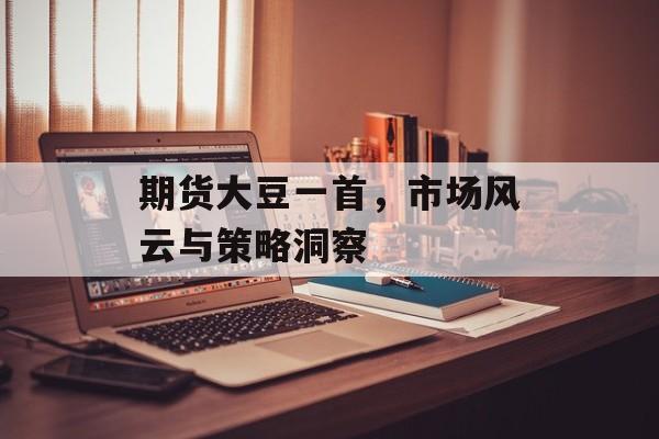 期货大豆一首,市场风云与策略洞察 期货大豆一首,市场风云与策略洞察