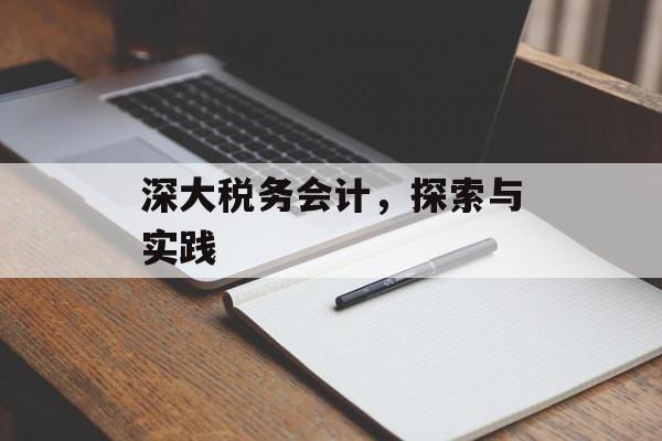 深大税务会计,探索与实践 深大税务会计,探索与实践