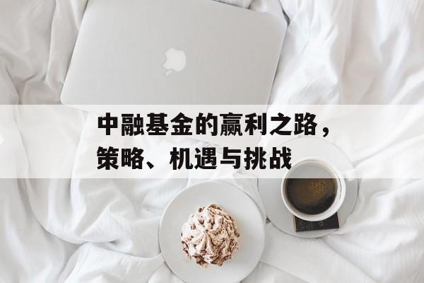 中融基金的赢利之路,策略、机遇与挑战 中融基金的赢利之路,策略、机遇与挑战