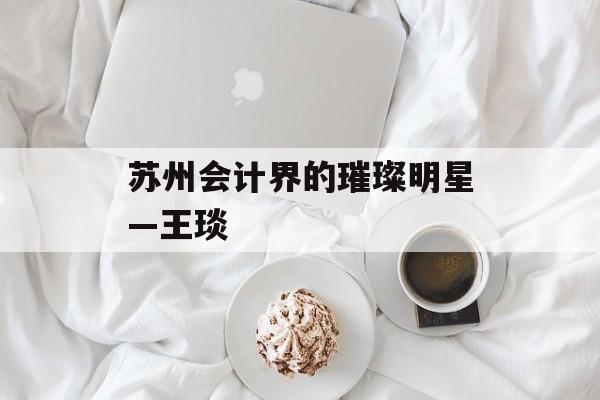苏州会计界的璀璨明星—王琰 苏州会计界的璀璨明星—王琰