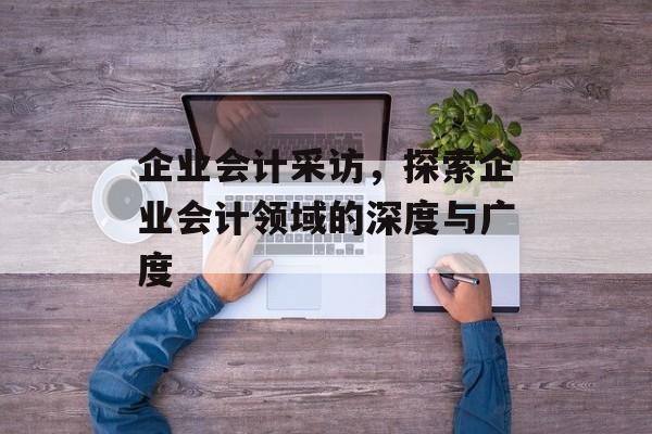 企业会计采访，探索企业会计领域的深度与广度