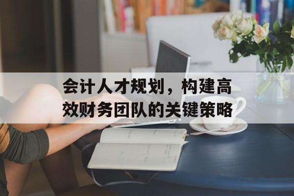 会计人才规划,构建高效财务团队的关键策略 会计人才规划,构建高效财务团队的关键策略