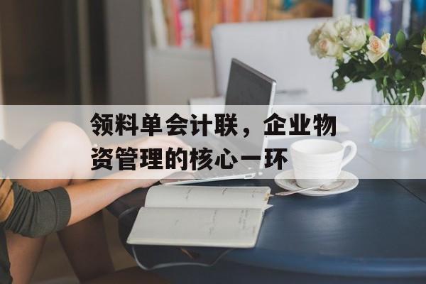 领料单会计联，企业物资管理的核心一环