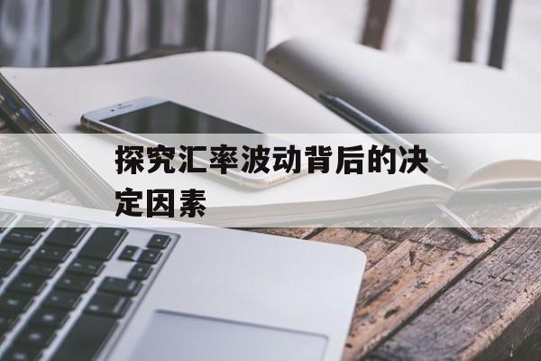 探究汇率波动背后的决定因素 探究汇率波动背后的决定因素