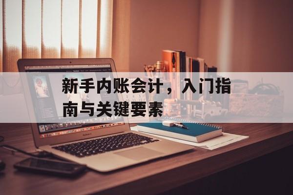 新手内账会计,入门指南与关键要素 新手内账会计,入门指南与关键要素