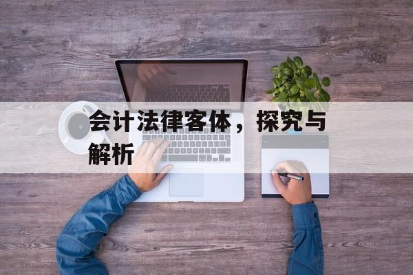 会计法律客体，探究与解析