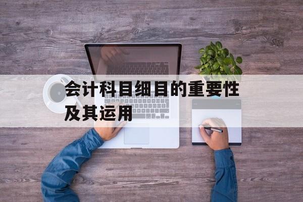 会计科目细目的重要性及其运用