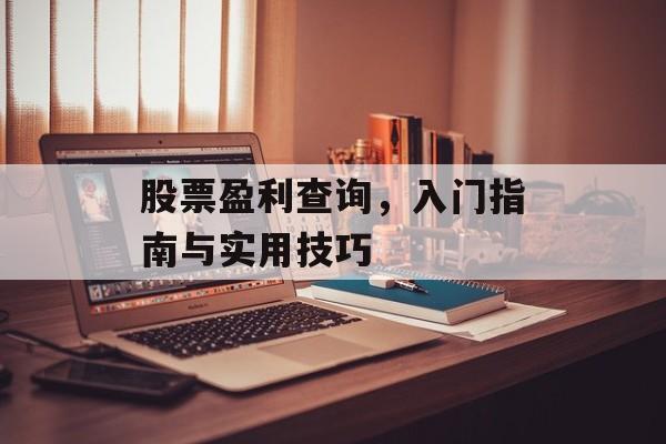 股票盈利查询,入门指南与实用技巧 股票盈利查询,入门指南与实用技巧