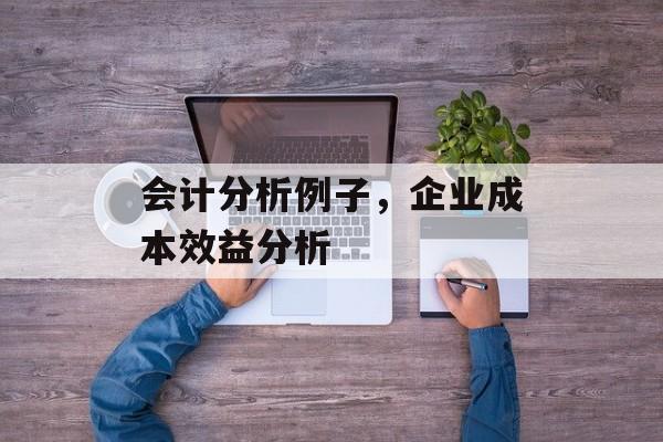 会计分析例子，企业成本效益分析