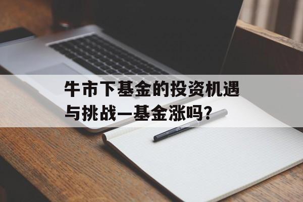 牛市下基金的投资机遇与挑战—基金涨吗？