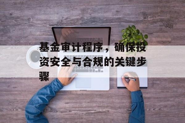 基金审计程序,确保投资安全与合规的关键步骤 基金审计程序,确保投资安全与合规的关键步骤