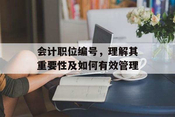 会计职位编号，理解其重要性及如何有效管理