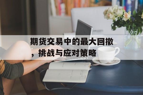 期货交易中的最大回撤，挑战与应对策略